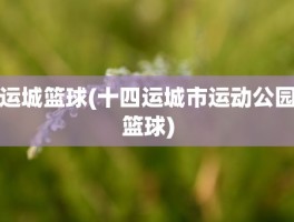 运城篮球(十四运城市运动公园篮球)