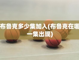 布鲁克多少集加入(布鲁克在哪一集出现)