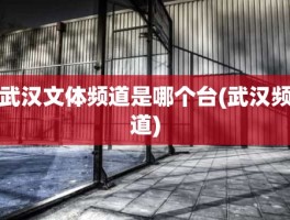 武汉文体频道是哪个台(武汉频道)