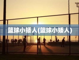 篮球小矮人(篮球小矮人)