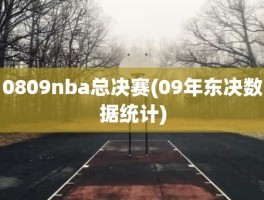 0809nba总决赛(09年东决数据统计)