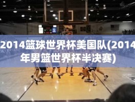 2014篮球世界杯美国队(2014年男篮世界杯半决赛)