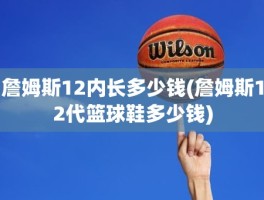 詹姆斯12内长多少钱(詹姆斯12代篮球鞋多少钱)