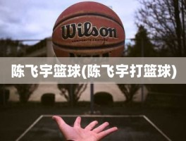 陈飞宇篮球(陈飞宇打篮球)