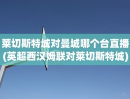 莱切斯特城对曼城哪个台直播(英超西汉姆联对莱切斯特城)