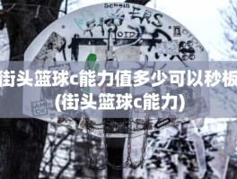 街头篮球c能力值多少可以秒板(街头篮球c能力)