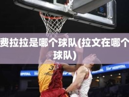 费拉拉是哪个球队(拉文在哪个球队)