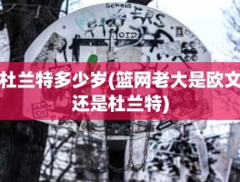 杜兰特多少岁(篮网老大是欧文还是杜兰特)