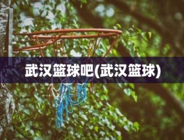 武汉篮球吧(武汉篮球)