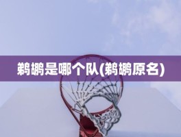 鹈鹕是哪个队(鹈鹕原名)