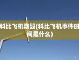 科比飞机烧毁(科比飞机事件时间是什么)