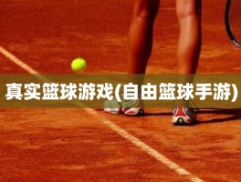 真实篮球游戏(自由篮球手游)