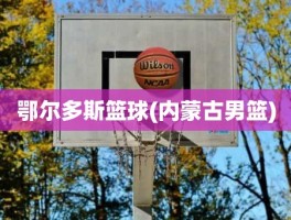 鄂尔多斯篮球(内蒙古男篮)