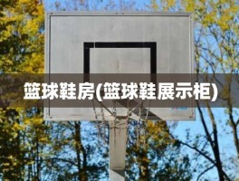 篮球鞋房(篮球鞋展示柜)