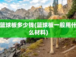 篮球板多少钱(篮球板一般用什么材料)