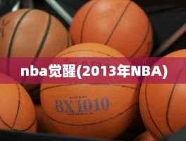 nba觉醒(2013年NBA)