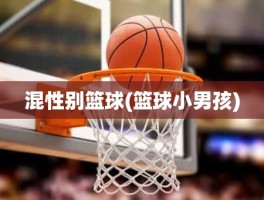 混性别篮球(篮球小男孩)