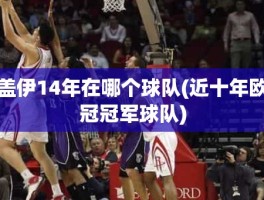 盖伊14年在哪个球队(近十年欧冠冠军球队)