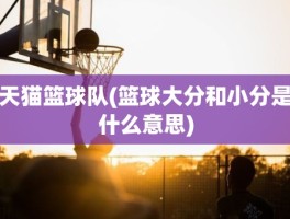 天猫篮球队(篮球大分和小分是什么意思)