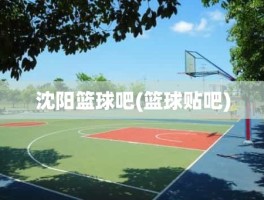 沈阳篮球吧(篮球贴吧)