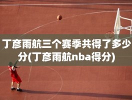 丁彦雨航三个赛季共得了多少分(丁彦雨航nba得分)