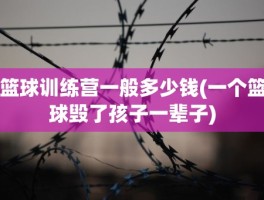 篮球训练营一般多少钱(一个篮球毁了孩子一辈子)