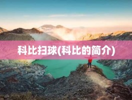 科比扫球(科比的简介)