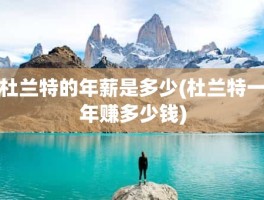 杜兰特的年薪是多少(杜兰特一年赚多少钱)