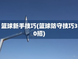 篮球新手技巧(篮球防守技巧30招)