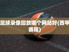 足球录像回放哪个网站好(西甲赛程)