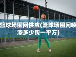 篮球场围网供应(篮球场围网喷漆多少钱一平方)