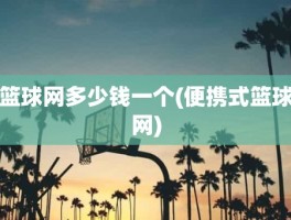 篮球网多少钱一个(便携式篮球网)