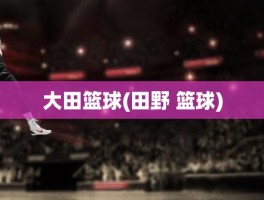 大田篮球(田野 篮球)