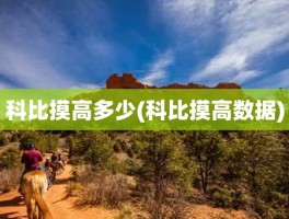 科比摸高多少(科比摸高数据)