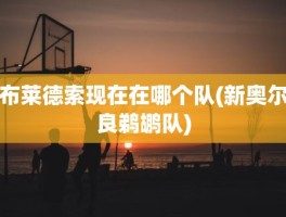 布莱德索现在在哪个队(新奥尔良鹈鹕队)