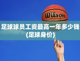 足球球员工资最高一年多少钱(足球身价)