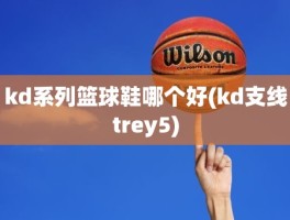 kd系列篮球鞋哪个好(kd支线trey5)