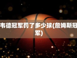 韦德冠军罚了多少球(詹姆斯冠军)