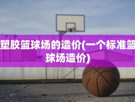 塑胶篮球场的造价(一个标准篮球场造价)