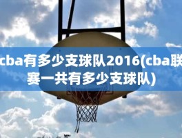 cba有多少支球队2016(cba联赛一共有多少支球队)