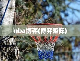 nba博弈(博弈矩阵)