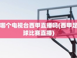 哪个电视台西甲直播吗(西甲足球比赛直播)