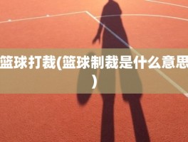篮球打裁(篮球制裁是什么意思)