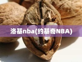 洛基nba(约基奇NBA)