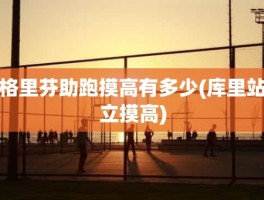 格里芬助跑摸高有多少(库里站立摸高)