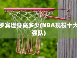 罗宾逊身高多少(NBA现役十大强队)