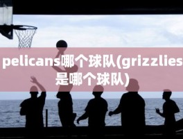 pelicans哪个球队(grizzlies是哪个球队)