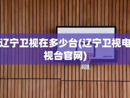 辽宁卫视在多少台(辽宁卫视电视台官网)