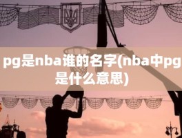 pg是nba谁的名字(nba中pg是什么意思)