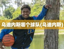 乌迪内斯哪个球队(乌迪内斯)